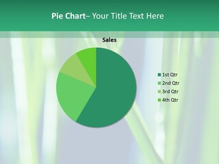 Grass And Drop PowerPoint Template