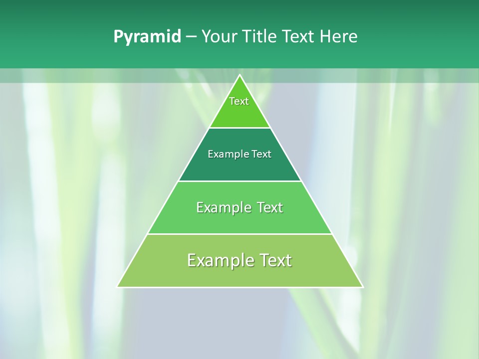 Grass And Drop PowerPoint Template
