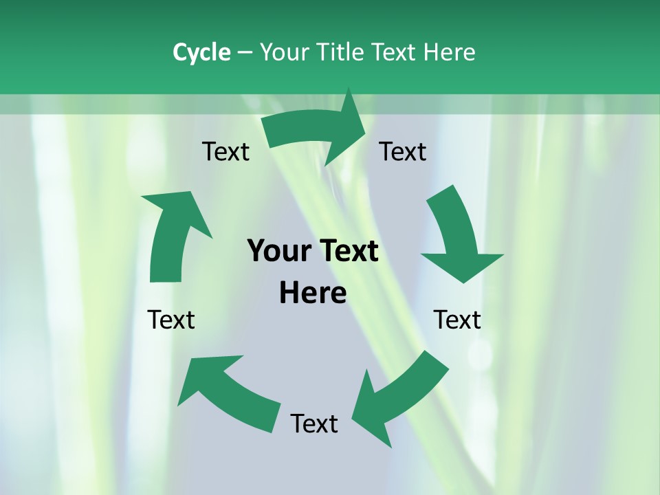 Grass And Drop PowerPoint Template
