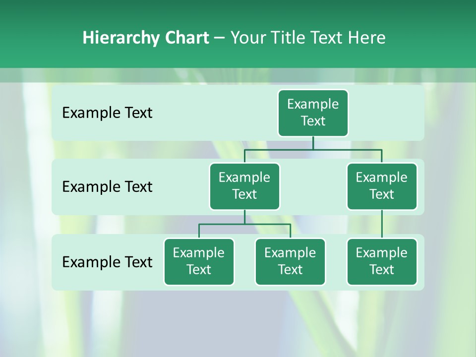Grass And Drop PowerPoint Template