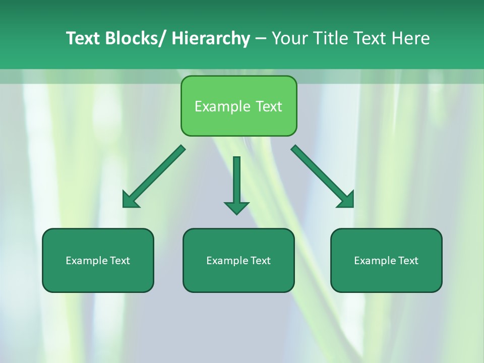 Grass And Drop PowerPoint Template