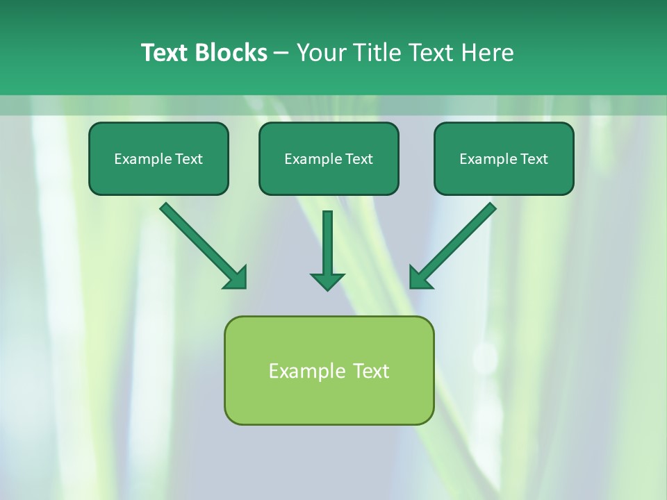 Grass And Drop PowerPoint Template