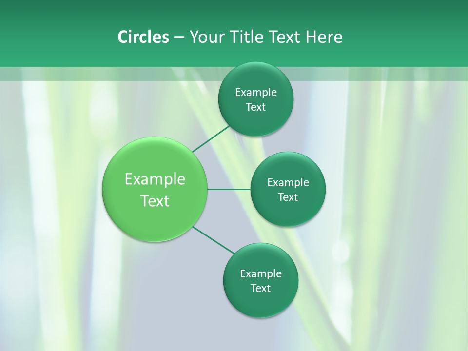 Grass And Drop PowerPoint Template