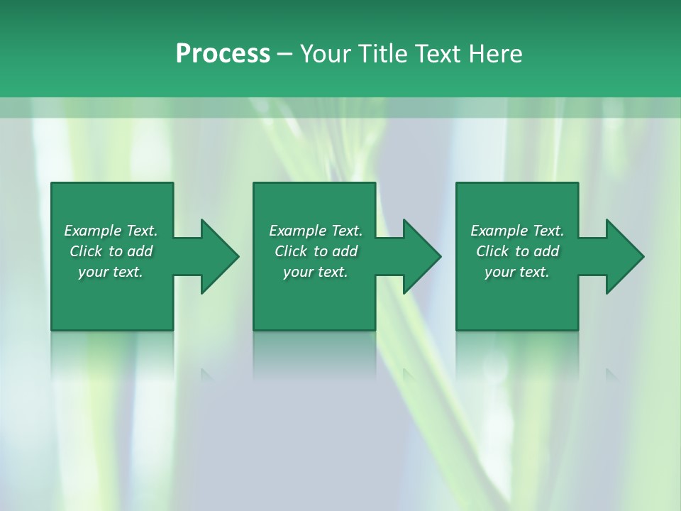Grass And Drop PowerPoint Template