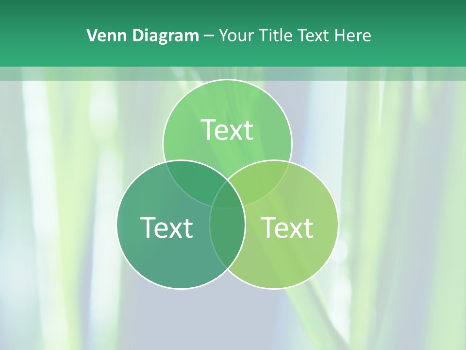 Grass And Drop PowerPoint Template