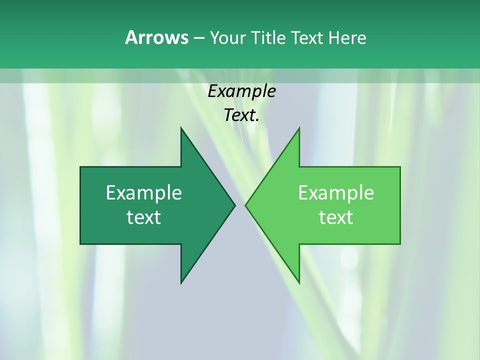 Grass And Drop PowerPoint Template