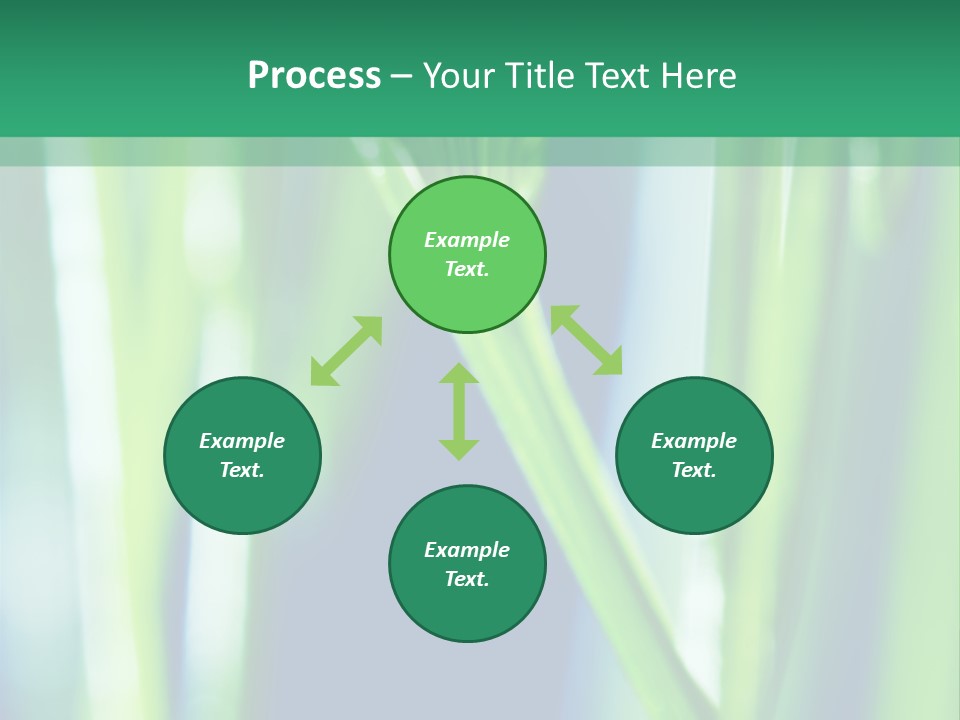 Grass And Drop PowerPoint Template