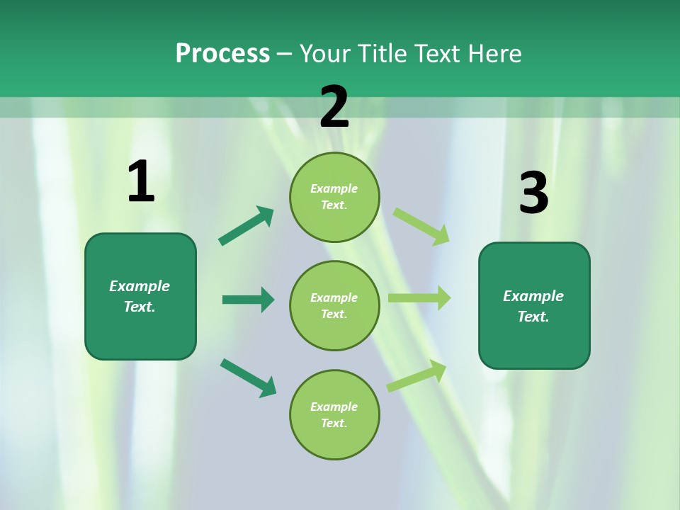 Grass And Drop PowerPoint Template