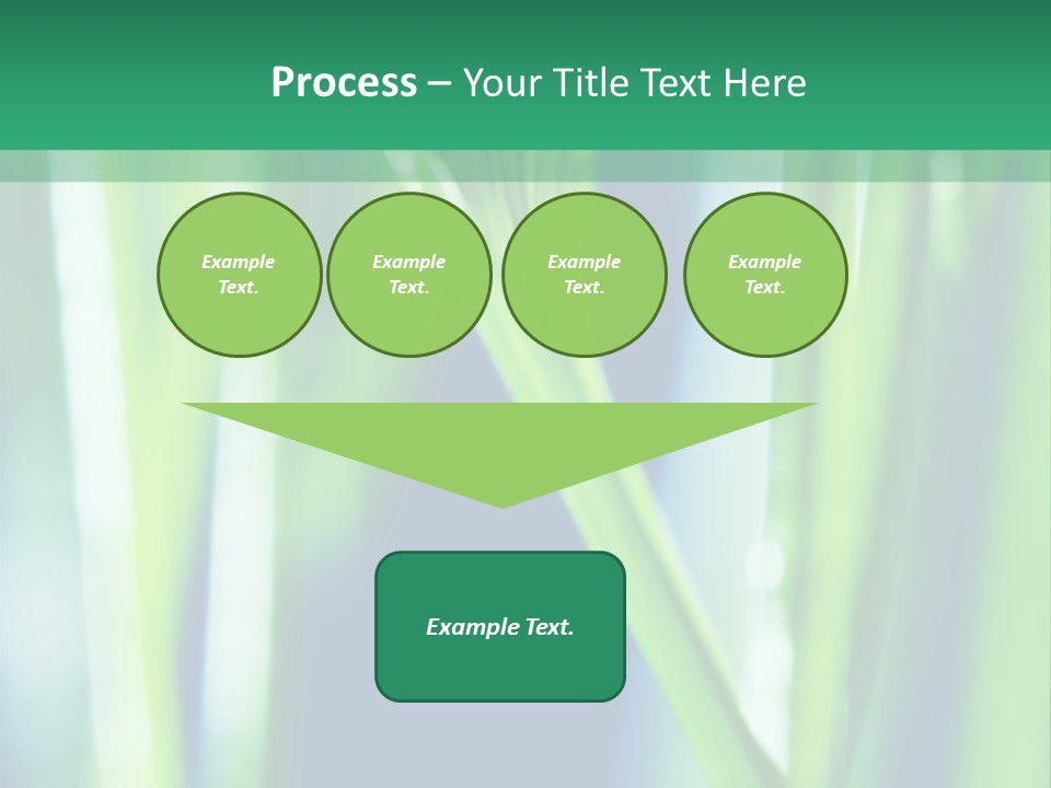 Grass And Drop PowerPoint Template