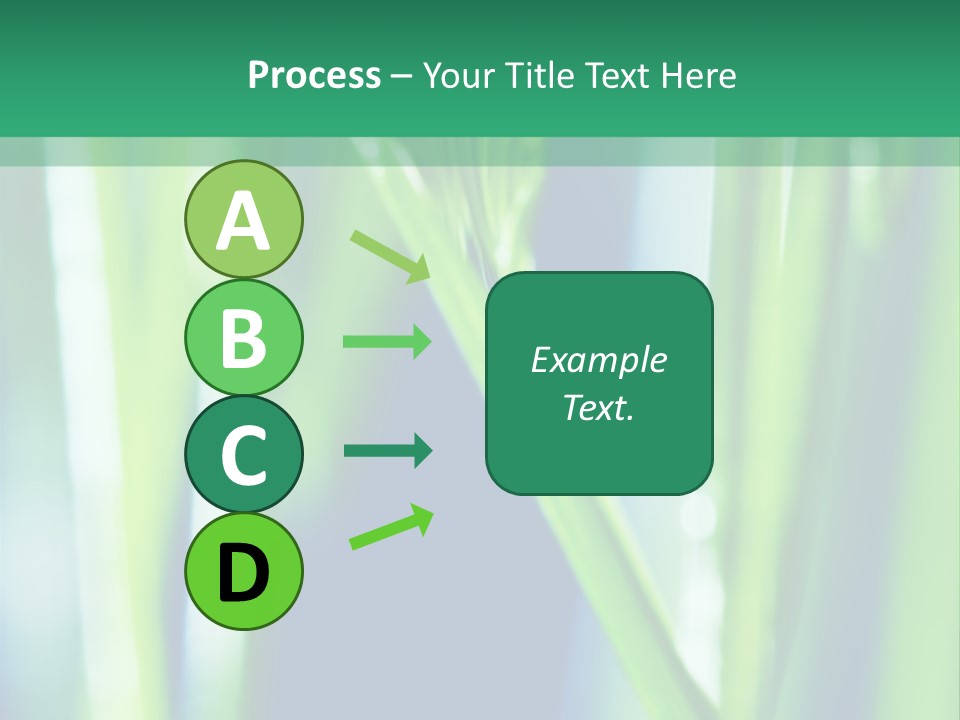 Grass And Drop PowerPoint Template