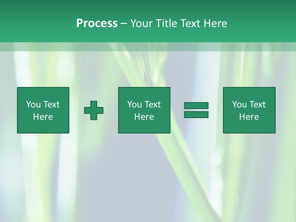 Grass And Drop PowerPoint Template