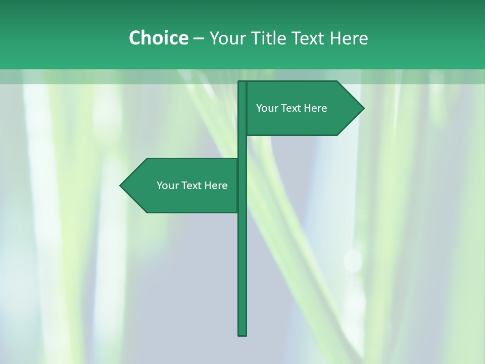 Grass And Drop PowerPoint Template