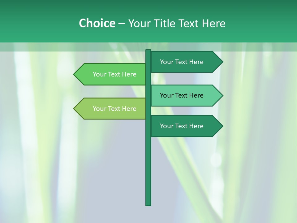 Grass And Drop PowerPoint Template