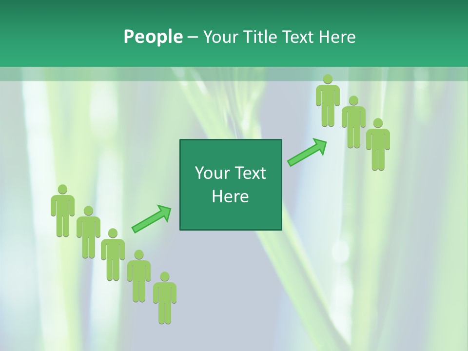 Grass And Drop PowerPoint Template