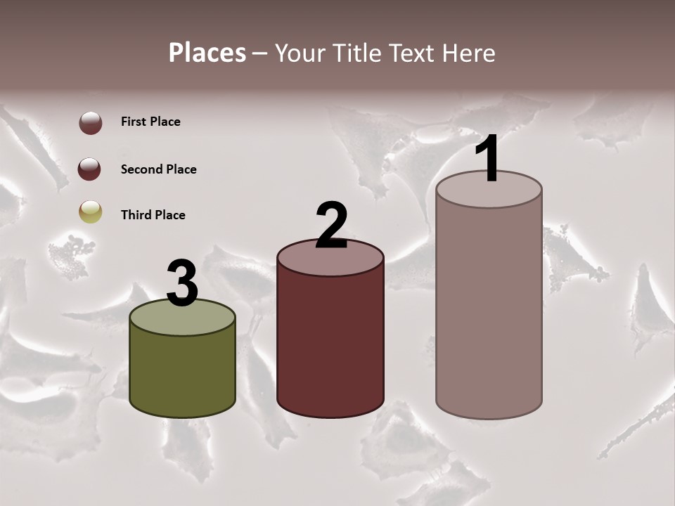 A Picture Of A Group Of Plants On A Table PowerPoint Template