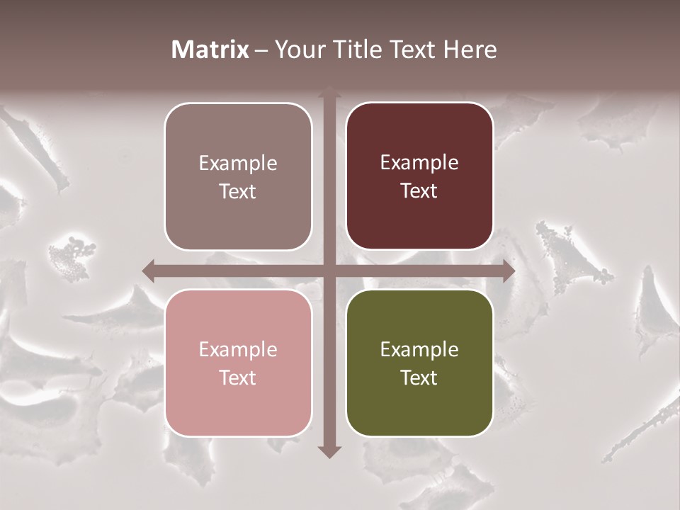 A Picture Of A Group Of Plants On A Table PowerPoint Template