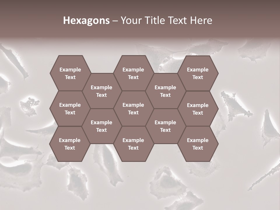 A Picture Of A Group Of Plants On A Table PowerPoint Template