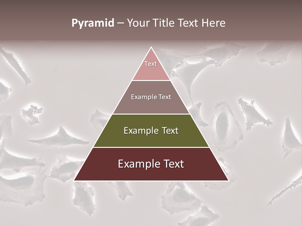 A Picture Of A Group Of Plants On A Table PowerPoint Template