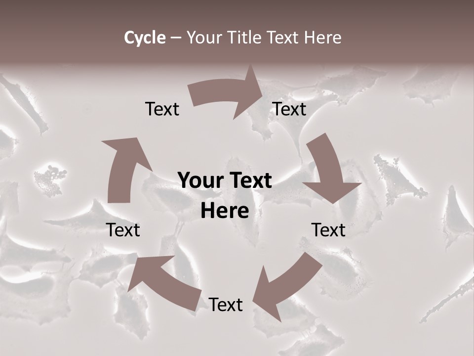 A Picture Of A Group Of Plants On A Table PowerPoint Template
