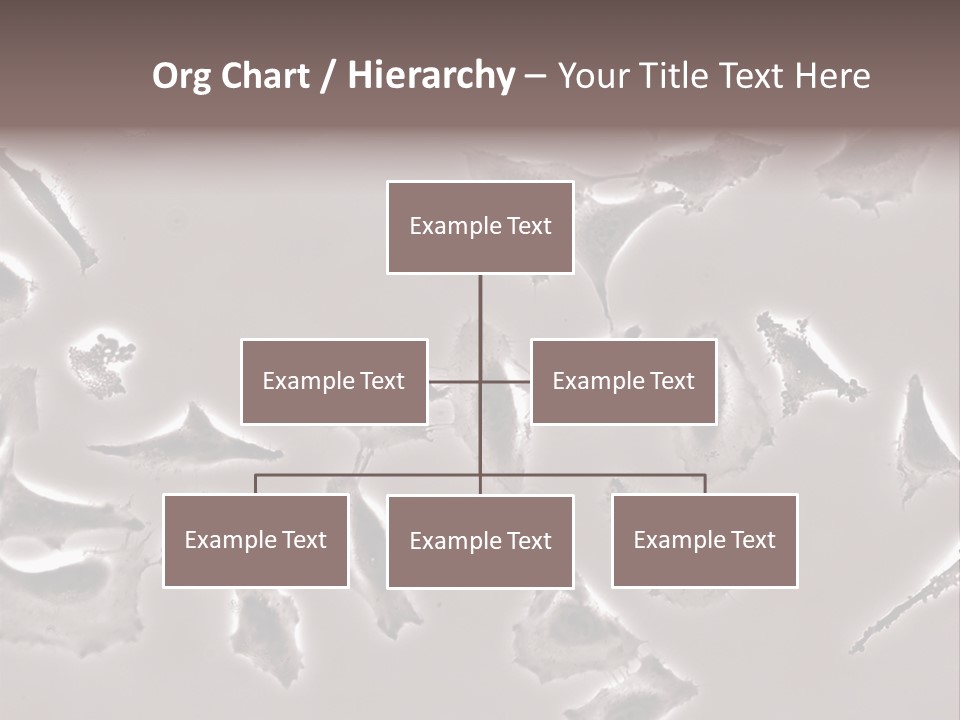 A Picture Of A Group Of Plants On A Table PowerPoint Template