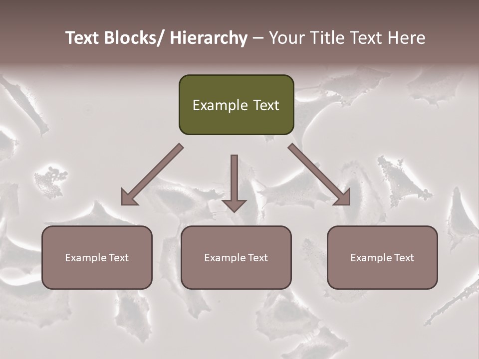 A Picture Of A Group Of Plants On A Table PowerPoint Template