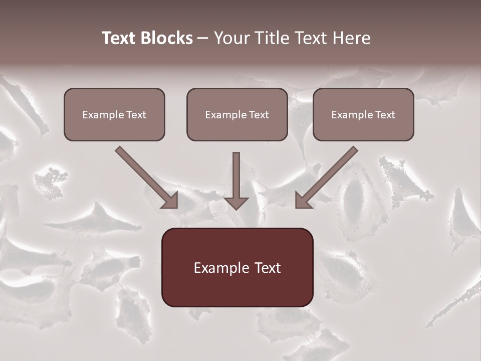 A Picture Of A Group Of Plants On A Table PowerPoint Template