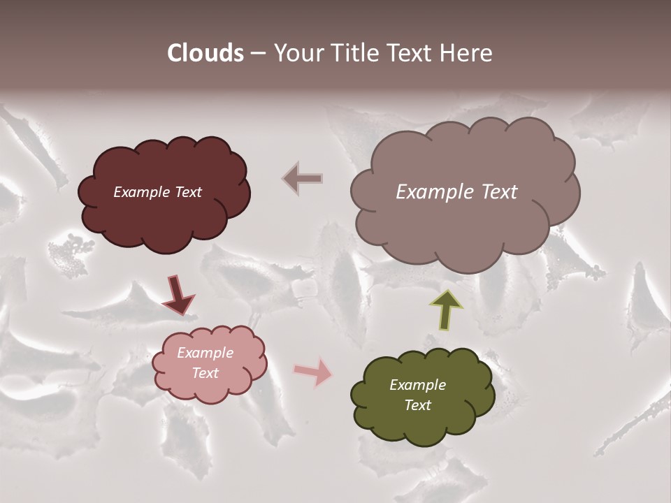 A Picture Of A Group Of Plants On A Table PowerPoint Template