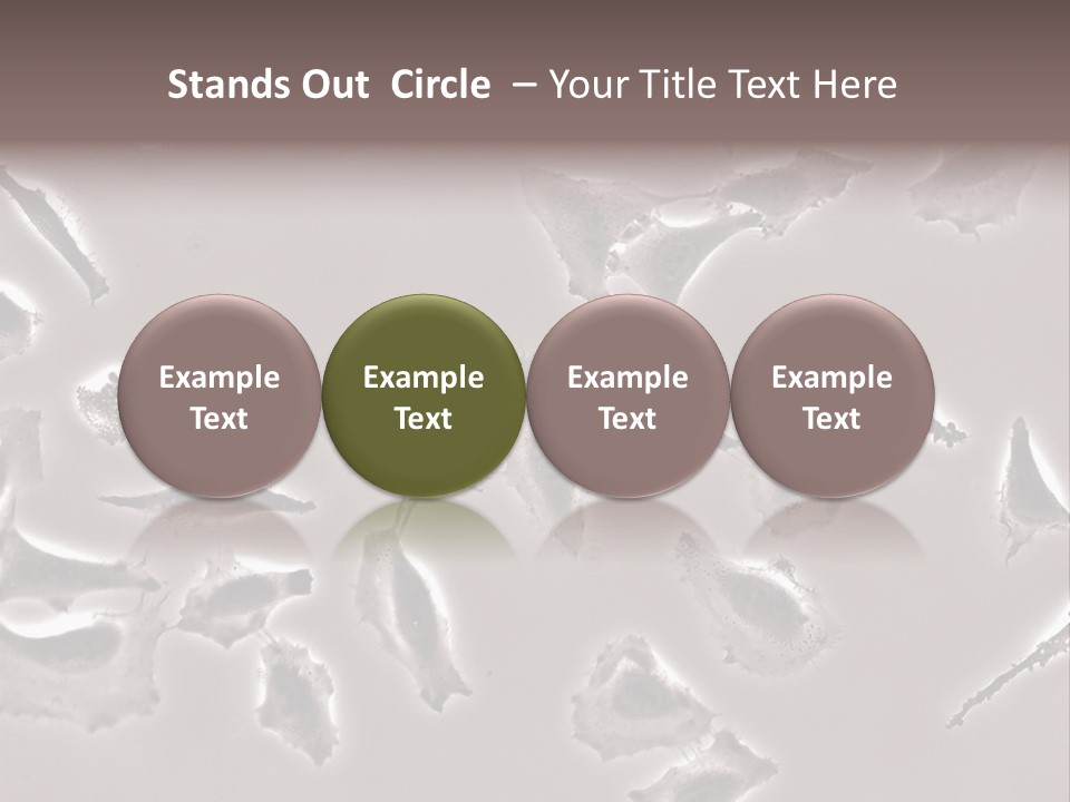 A Picture Of A Group Of Plants On A Table PowerPoint Template