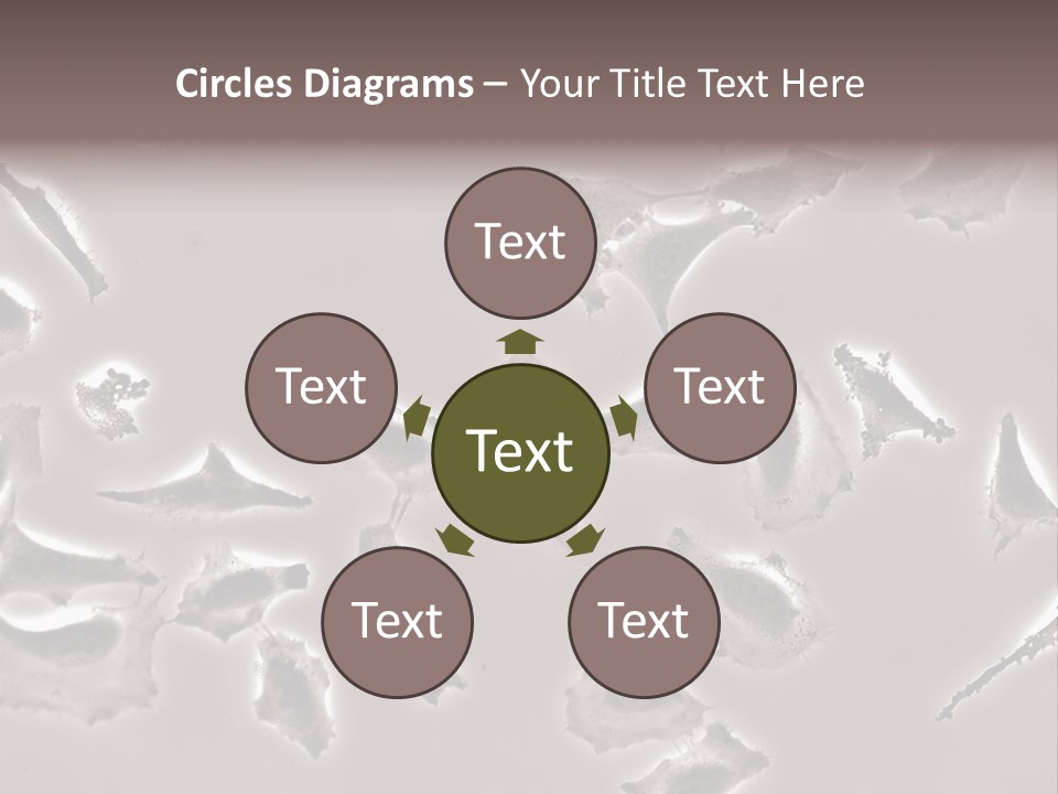 A Picture Of A Group Of Plants On A Table PowerPoint Template