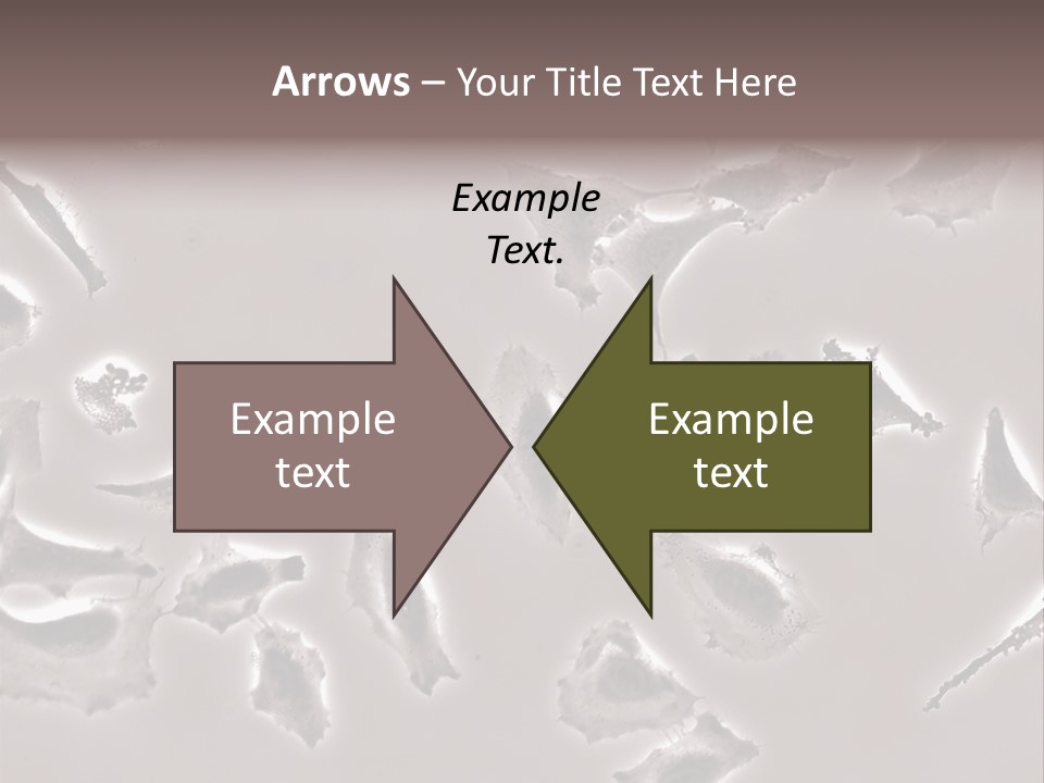 A Picture Of A Group Of Plants On A Table PowerPoint Template
