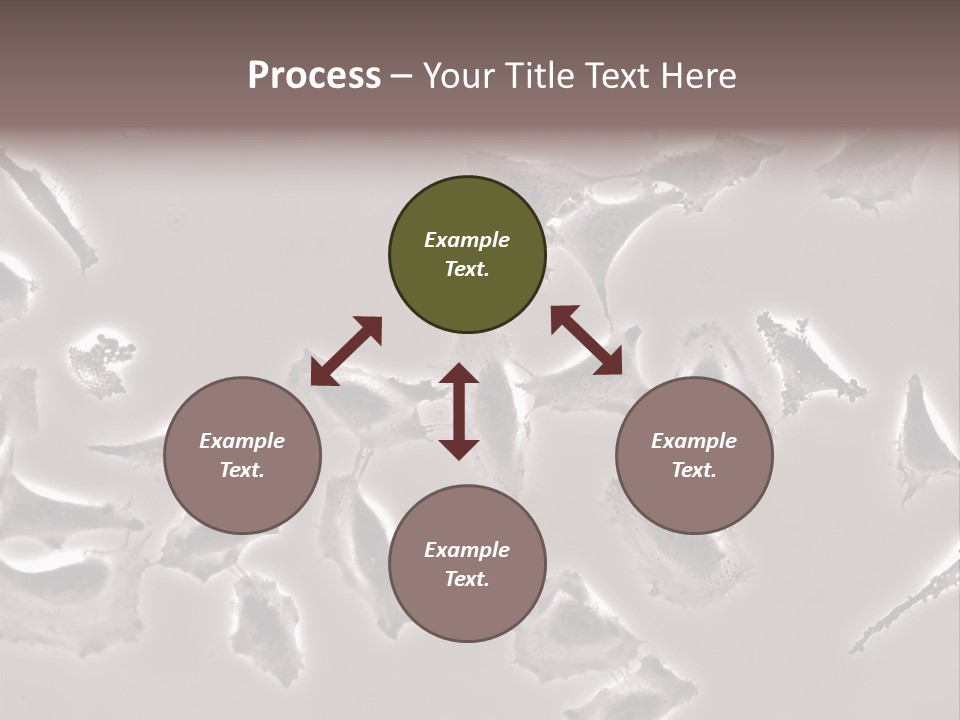 A Picture Of A Group Of Plants On A Table PowerPoint Template