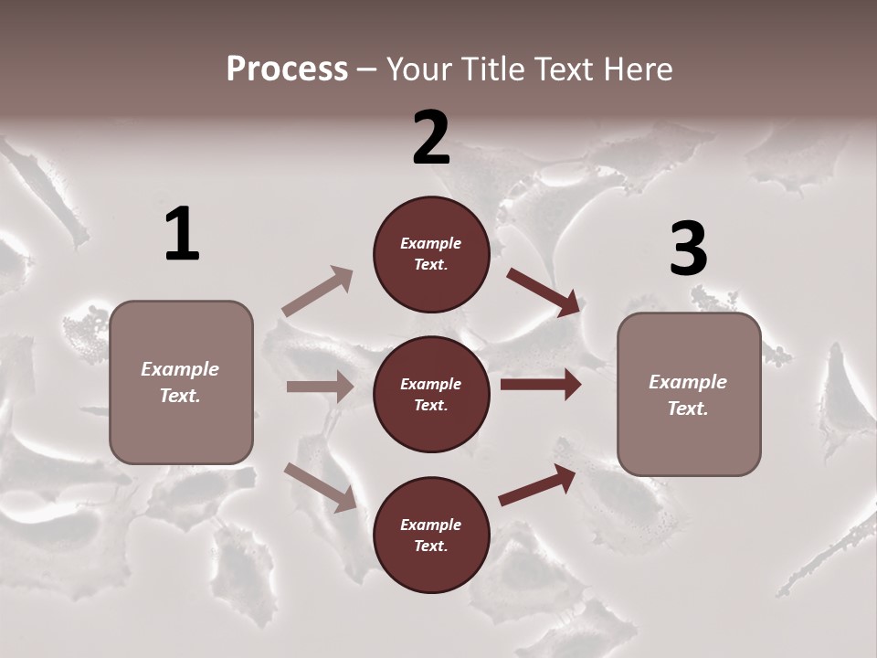 A Picture Of A Group Of Plants On A Table PowerPoint Template