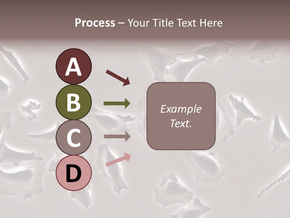 A Picture Of A Group Of Plants On A Table PowerPoint Template