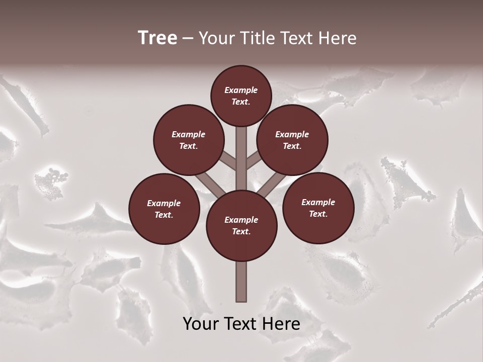 A Picture Of A Group Of Plants On A Table PowerPoint Template