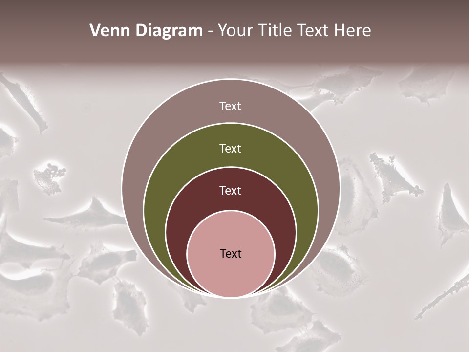 A Picture Of A Group Of Plants On A Table PowerPoint Template