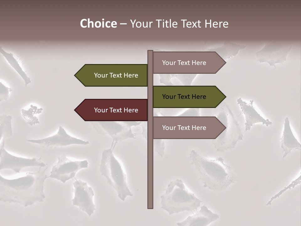 A Picture Of A Group Of Plants On A Table PowerPoint Template