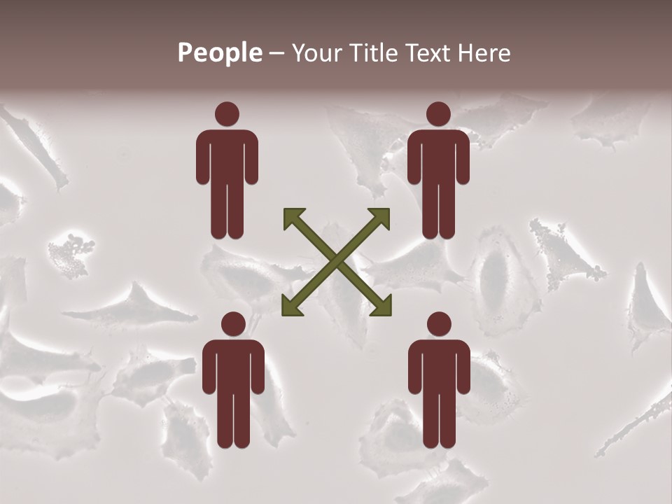 A Picture Of A Group Of Plants On A Table PowerPoint Template