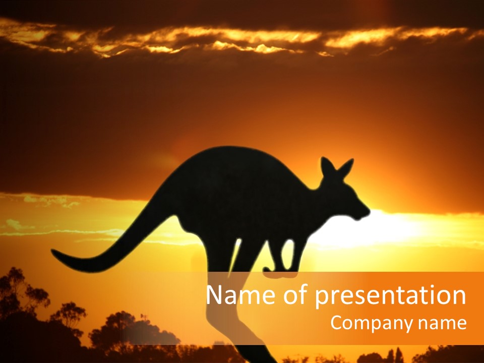 Kangaroo On The Sunset PowerPoint Template