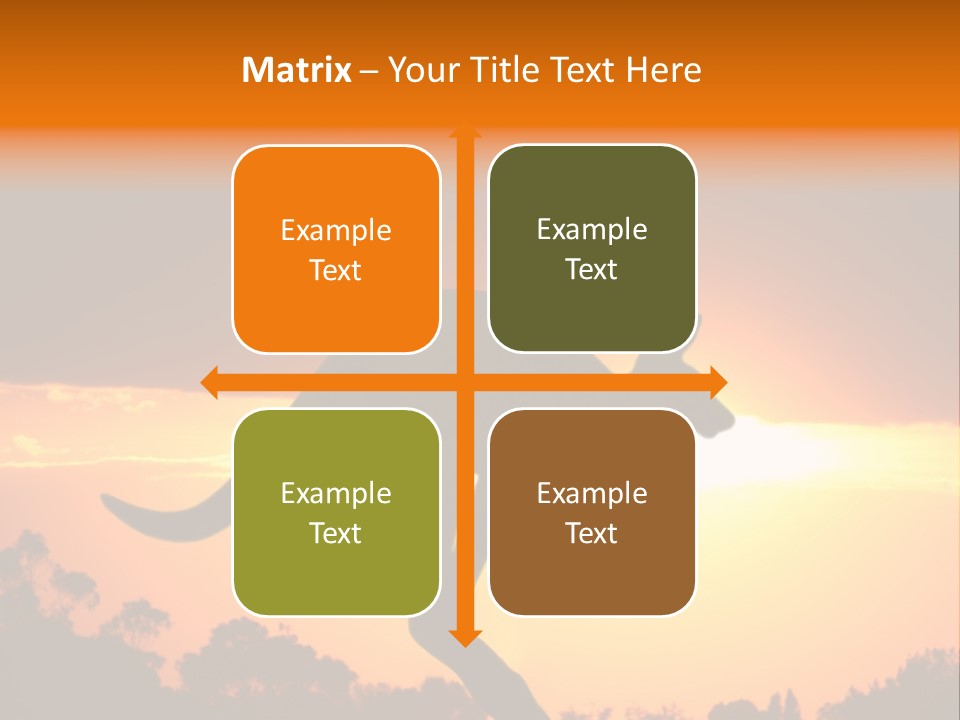 Kangaroo On The Sunset PowerPoint Template