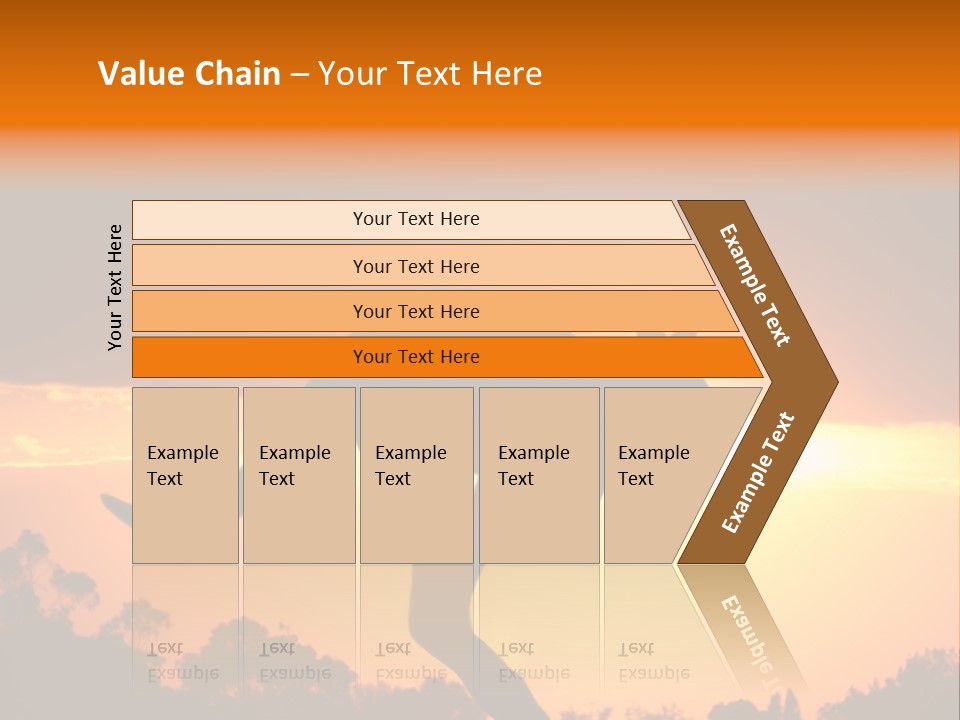 Kangaroo On The Sunset PowerPoint Template