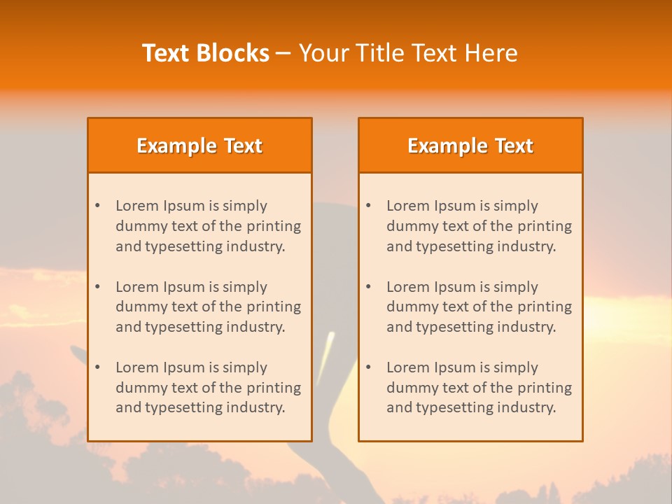 Kangaroo On The Sunset PowerPoint Template