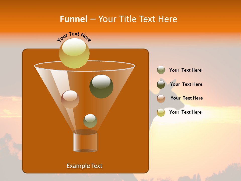 Kangaroo On The Sunset PowerPoint Template