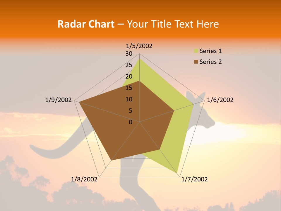 Kangaroo On The Sunset PowerPoint Template