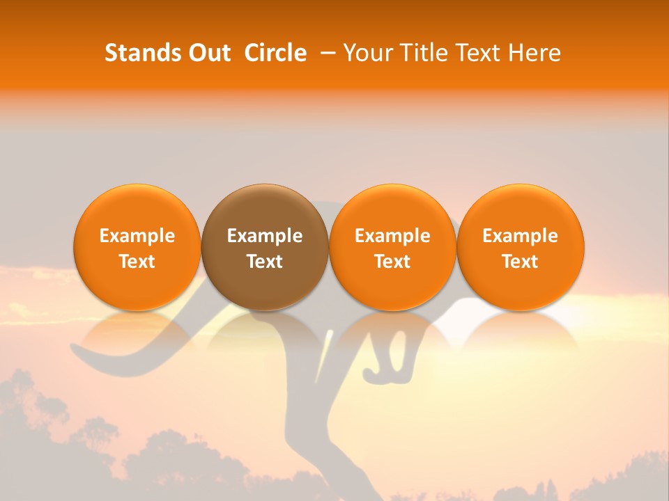 Kangaroo On The Sunset PowerPoint Template
