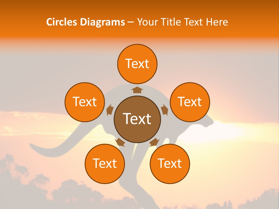 Kangaroo On The Sunset PowerPoint Template