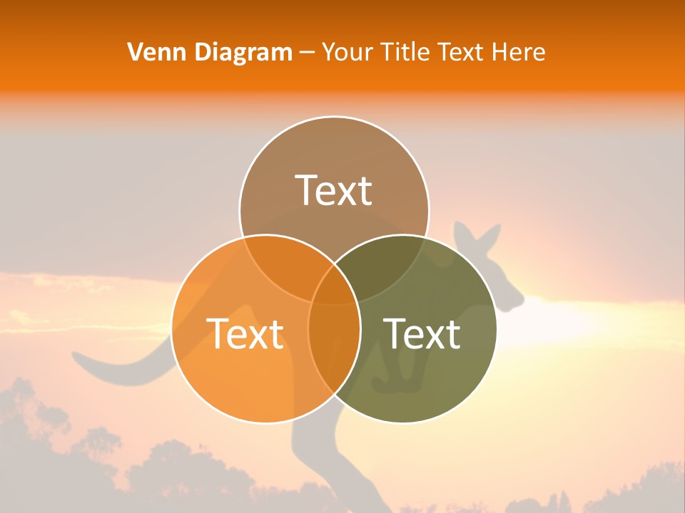 Kangaroo On The Sunset PowerPoint Template