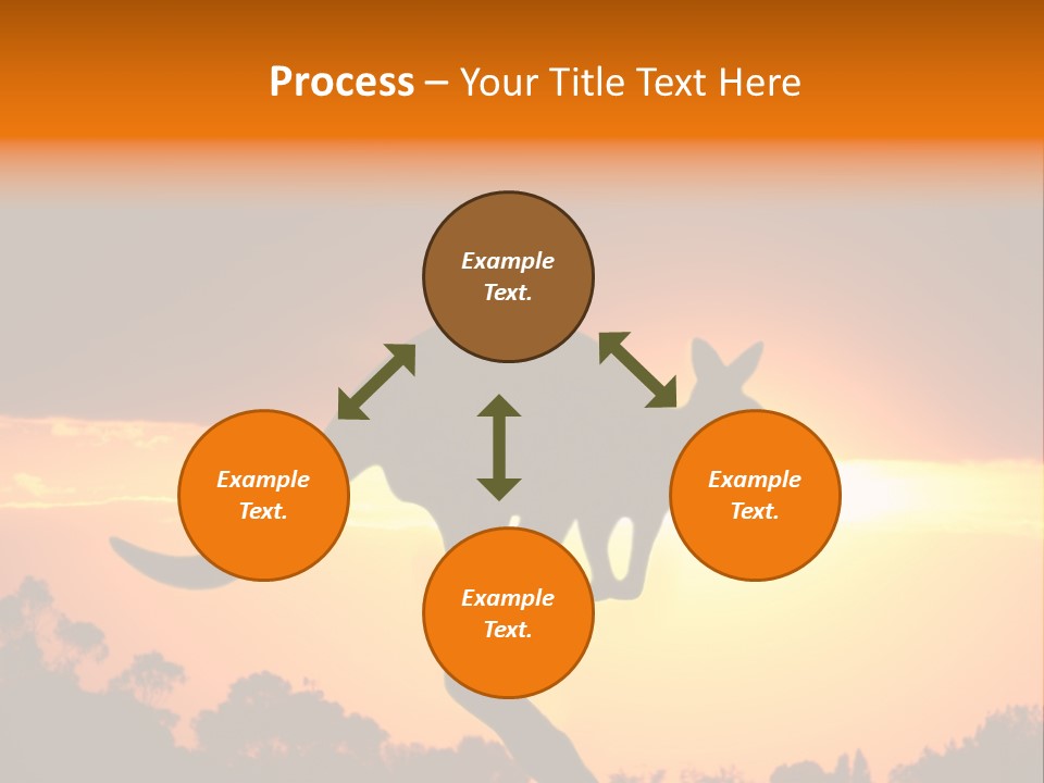 Kangaroo On The Sunset PowerPoint Template