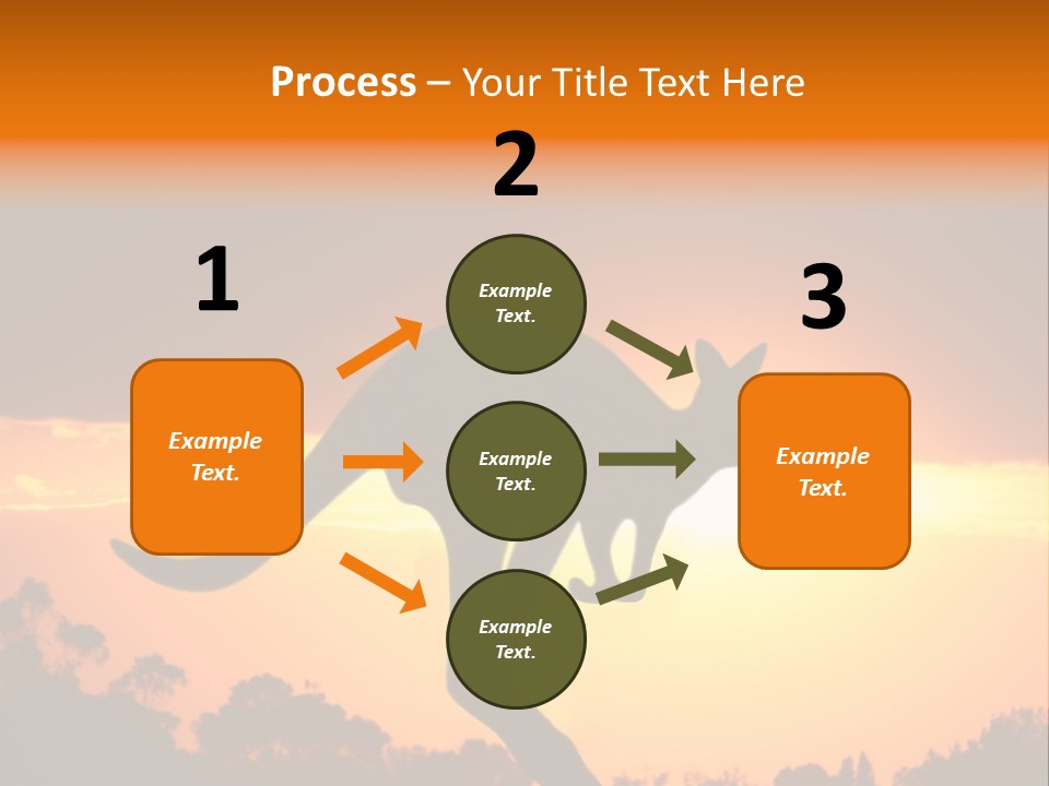 Kangaroo On The Sunset PowerPoint Template