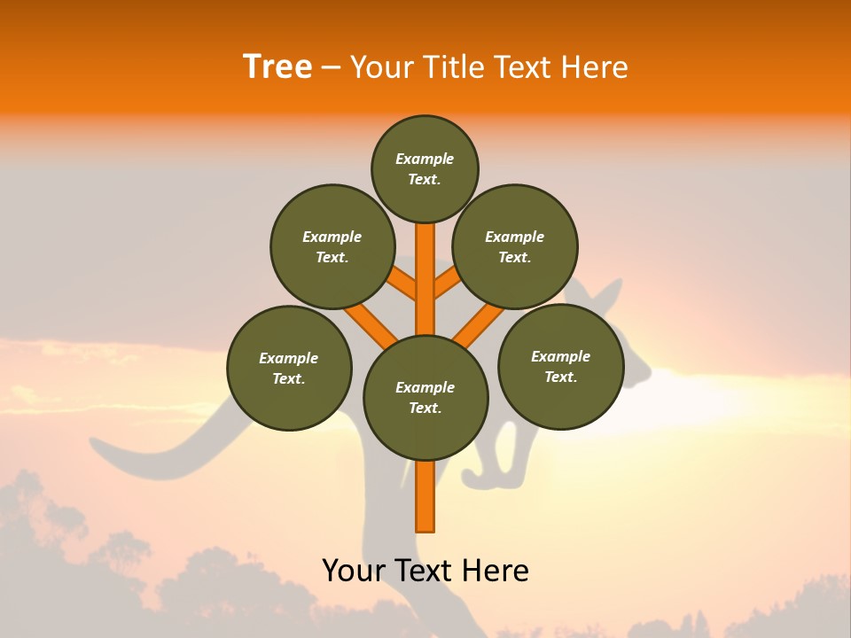 Kangaroo On The Sunset PowerPoint Template