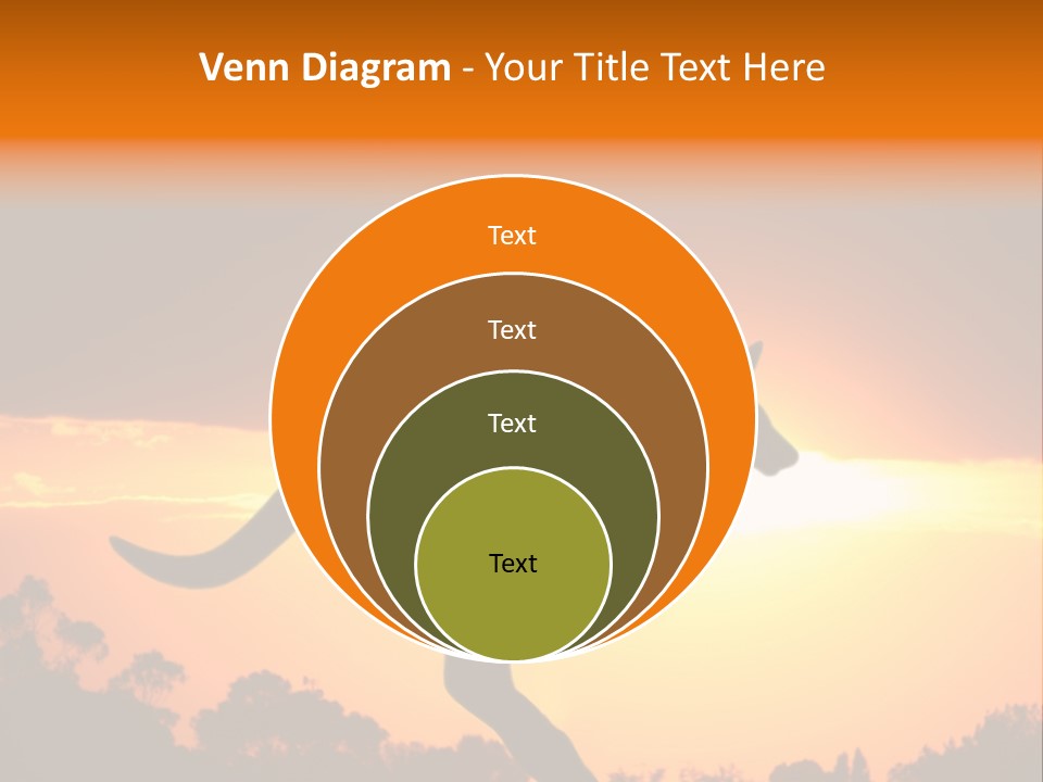 Kangaroo On The Sunset PowerPoint Template